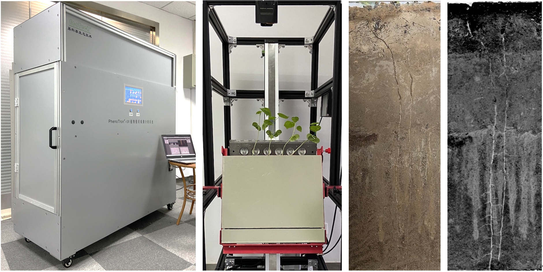 RhizoTron根系高光谱成像分析技术