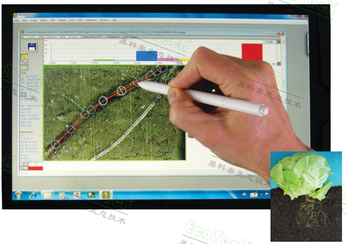 WinRHIZO Tron原位根系分析软件