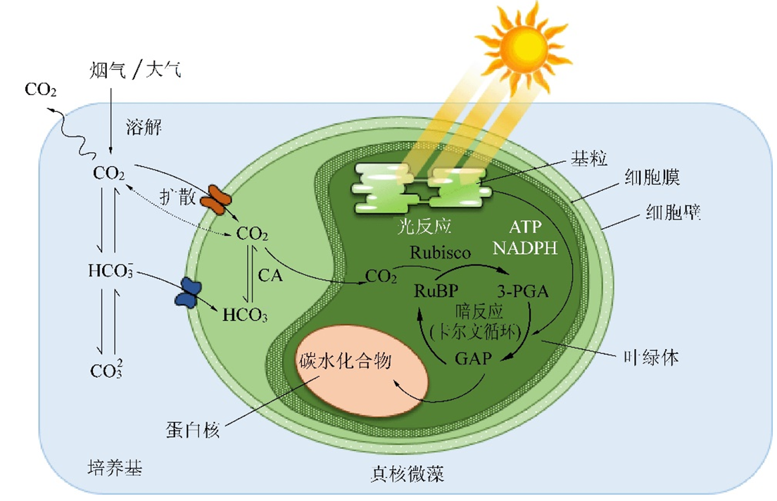 微信截图_20220608134314.png