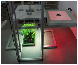 FluorCam大型植物多光谱荧光成像平台