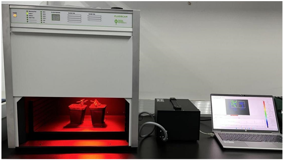 FluorCam多功能植物效率分析系统