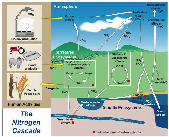 EcoTron氮沉降在线观测系统