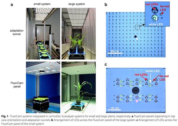 ../../../产品技术/荧光技术/PSI/Phenotyping/参考文献/PlantScreen参考文献/IPK-2017/0101－sm.jpg