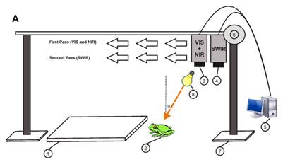 clip_image008.jpg ../../../产品技术/光学/高光谱/specim.fi/imspector/Non%20invasive,%20frog%20skin%2001.jpg